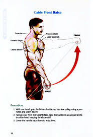Bodybuilding Anatomy