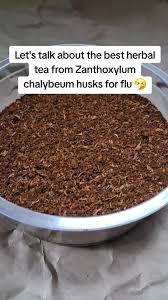 Image result for Zanthoxylum chalybeum