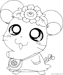 Hamtaro is a japanese animated tv series about the funny lives of cute little hamsters. Hamtaro Coloring Pages Coloringall