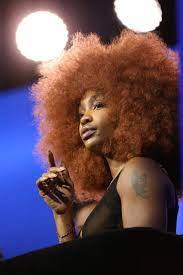 The design involves transitioning drastically from a black. 12 Best Hair Colors For Dark Skin Tones According To Stylists