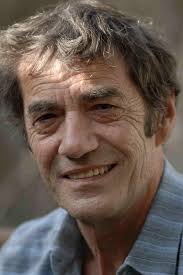 Découvrez entre ici et le paradis sur molotov, l'app gratuite pour regarder la tv en direct et en replay. Daniel Duval Top Must Watch Movies Of All Time Online Streaming