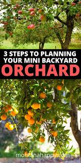 3 Steps On Planning Your Mini Backyard Orchard Montana Happy In 2020 Orchard Garden Backyard Garden Gardening For Beginners