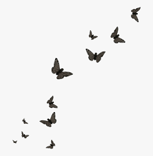 Red butterflies illustration, butterfly euclidean icon, butterfly fly away, love, ribbon png. Butterfly Black Butterflies Flying Butterflies Transparent Background Hd Png Download Transparent Png Image Pngitem