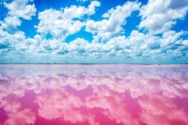 Las Coloradas Yucatan Mexico By Sergio Camalich Yucatan Mexico Merida Yucatan Yucatan