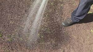 Discover savings on watering grass seed & more. Sowing Grass Seed In Spring Longfellow S Garden Center