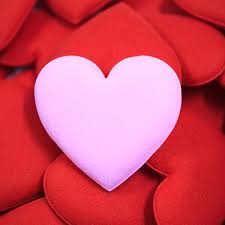 ℗ coconut records © bmg ariola media gmbhduration: What Is Love Here S The Science