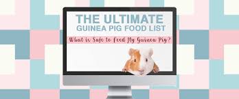 Guinea pig pellets are specially formulated with added vitamin c. The Ultimate Guinea Pig Food List What S Safe Small Pet Select