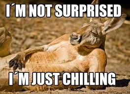 Meme Creator Funny I M Not Surprised I M Just Chilling Meme Generator At Memecreator Org