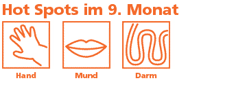 Allerdings ist es ratsam bei vorhandenen allergien oder empfindlichkeiten im vorfeld mit dem kinderarzt zu sprechen. Embryo Entwicklung Infos Zur 33 Ssw Bis 36 Ssw Kidsgo