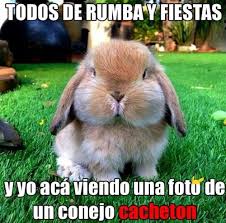 Hoy les dejamos una interesante galería de. Imagenes Graciosas Chistosas Y Divertidas Para Whatsapp Facebook Y Descargar Gratis Mejores Imagenes