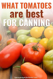 Shoppe die neuesten tops zum besten preis bei stylight. What Tomatoes Are Best For Canning Tips For Salsa Sauce And More