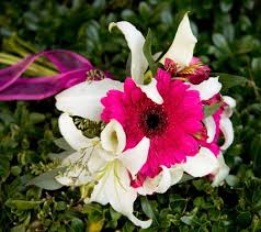 Maybe you would like to learn more about one of these? Sisters Boutique Flowers And Things 321 Photos 52 Reviews Florists 19419 Soledad Canyon Rd Santa Clarita Ca Phone Number Yelp
