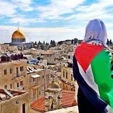 .ويتحمل مسئولية أشقائه، وهو من محافظات صعيد مصر، ويضطر لترك بلده والتنقل إلى القاهرة، ويعمل في تصدير واستيراد بعض الأشياء من غزة لمصر والعكس، ويعجب بنت. Ù‡Ø¨Ø© Ù…Ù† ØºØ²Ø© Gaza Hebagaza Twitter