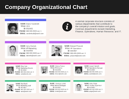 Online Organizational Chart Maker Venngage