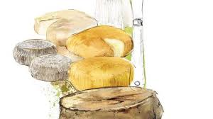 5 Fromages Corses A Savourer L Express Styles