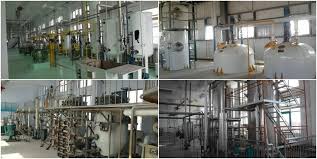 Cooking Maize Niger Seed Oil Processing Equipment Soya Bean Oil Refinery Machine Sunflower Oil Machine Palm Oil Refining P Oil Plant Edible Oil How To Make Oil