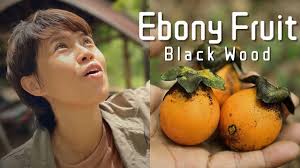 Ebony Wood: A Guide To This Premium Hardwood