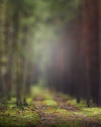 In free nature wallpapers you will find an excellent collection with the best wallpapers, which you can share with your friends, family and the love of your life. Nature Road Full Hd Background Free Stock Image Download