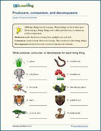 ecosytems worksheets k5 learning