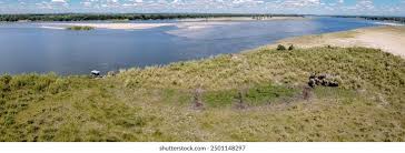 Image result for Habenaria debeerstiana