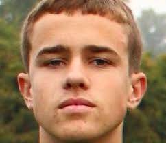 Lansing area boys cross Dream Team, all-area