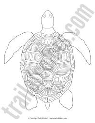 The spruce / ashley deleon nicole these free pumpkin coloring pages will be sna. Turtle Coloring Page For Grown Ups Trail Of Colors
