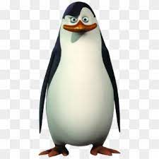We did not find results for: Madagascar Penguin Png Image Madagascar Penguins Kowalski Ok Retard Meme Transparent Png 508x958 526273 Pngfind