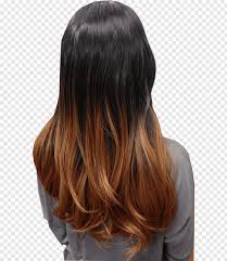 Nowadays, many girls opt for techniques like balayage, ombre or simple highlighting to give their hairs an upgrade. Black Ombre Straight Hair Up To 72 Off Free Shipping