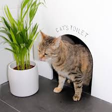 Coole Idee Wenn Man Eine Katzentoilette Nicht Sichtbar Aber Von Bluemchen Diy Litter Box Cat Toilet Cat Diy