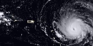 How do hurricanes affect sea life? During A Hurricane What Happens Underwater Ocean Sentry