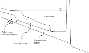 Check spelling or type a new query. Sedimentation Rate An Overview Sciencedirect Topics