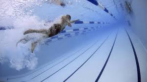 La Piscine Les Dauphins Fermee Du 10 Au 25 Decembre