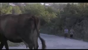 It shares land borders with bulgaria to the south, ukraine to the north, hungary to the west. State De Romania Episodul 006 Video Dailymotion