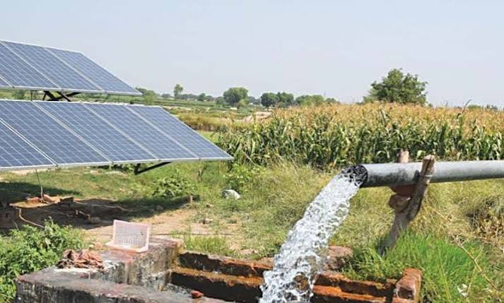 Pakistan Agricultural Census 2024: Farms Shrink Fast