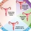 This is usually referred to as mittelschmerz (painful ovulation) and can last for minutes or even hours. 1