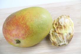 Willkommen im online möbel shop wohnen.de wir bieten ihnen ein riesiges sortiment an hochwertigen möbeln an versandkostenfrei kauf auf rechnung telefonsupport mo. Mangobaum Mangifera Indica Pflege Von A Z Mangopflanze