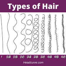 14 types of womens hair do you know them all