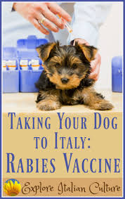 Blessed to be a part of such a great organization! The Canine Rabies Vaccine
