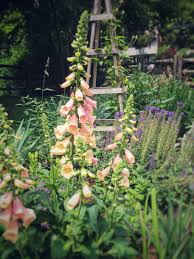 Try and choose a color scheme like pinks and whites, or blues and yellows. A Cottage Garden In Connecticut Finegardening