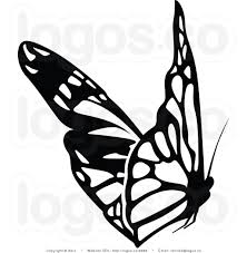 Black And White Butterfly Drawing Images Free Photos Black And White Black And White Butterfly Logo Butterfly Black And White Butterfly Clip Art Butterfly Stencil