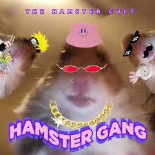 See more of tiktok hamster on facebook. Hamster Gang Created By The Hamster Cult Popular Songs On Tiktok