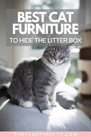 Pin On Tips Info For Cat Owners