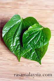 Fertilised female flowers are followed by very small round fruit enclosing a single seed, though these are rarely produced. 12 Sireh Betel Ideas Plant Leaves Leaves Plants