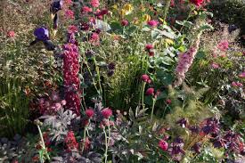 Plants Combinations Chelsea Flower Show 2014 Photo Agata Byrne Landscape Architect Garden Designer Florist Plant Combinations Chelsea Flower Show Plants
