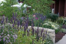 Horatio S Garden Cleve West Landscape Design Award Winning Ssit Contemporary Garden Garden Design Garden Design Landscape Design Hampton Court Flower Show