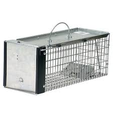 Havahart X Small 1 Door Professional Live Animal Cage Trap For Rat Squirrel Chipmunk And Weasel 0745 In 2020 Pet Cage Live Animals Pest Control Supplies