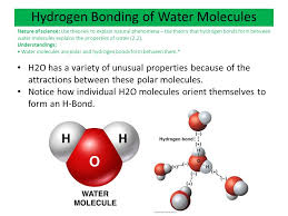 What happens in this process? Ch 3 The Polarity Of Water And Its Properties Ppt Video Online Download