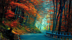 After Working With A Client During The Last Four Years On Their Proprietary Ecommerce Internet Site Autumn Wallpaper Hd Background Hd Wallpaper Fall Wallpaper