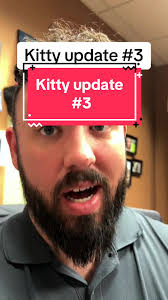 Heartwarming Kitty Update: Welcoming Our New Fur Baby Home