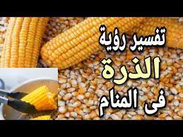 تعتبر رؤية الذرة في منامها رمز إلى التحسن في المستوى المادي وإشارة إلى تخطي العقبات التي وقفت بينها وبين نجاح علاقتها الزوجية. Ø¹Ø±Ù†ÙˆØ³ Ø§Ù„Ø°Ø±Ø© ÙÙŠ Ø§Ù„Ù…Ù†Ø§Ù… Farizmedia Com